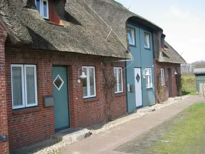 Ferienwohnung für 5 Personen (75 m²) in Utersum 1/10