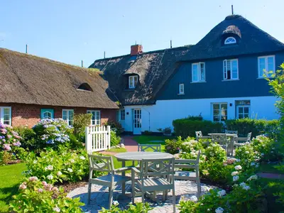 Ferienwohnung für 5 Personen (47 m²) in Utersum 1/10