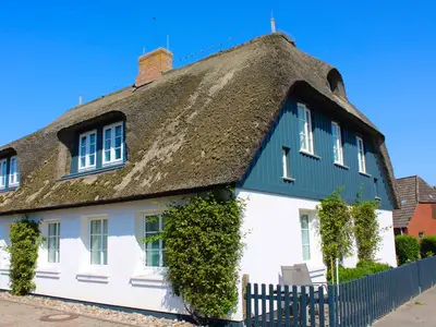 Ferienwohnung für 4 Personen (55 m²) in Utersum 1/10