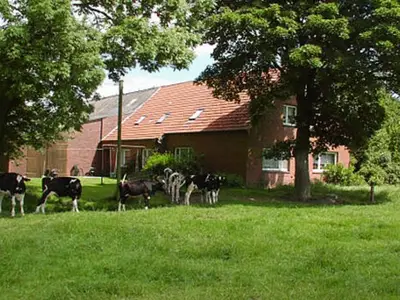 Ferienwohnung für 5 Personen (60 m²) in Holtgast 2/10