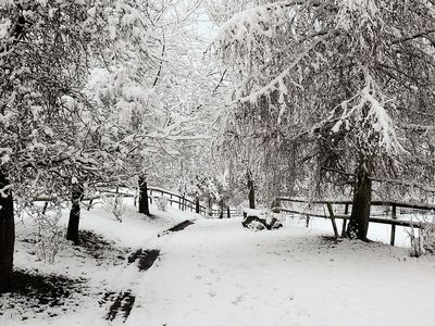 Winter in der Vulkaneifel