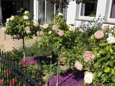 Blütenprach Vorgarten