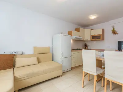 Ferienwohnung für 4 Personen (60 m²) in Vabriga 5/10