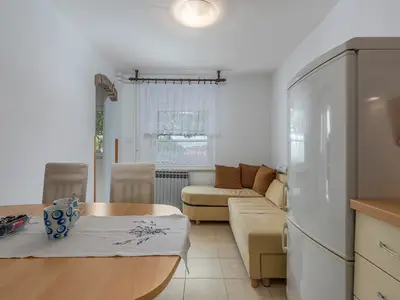 Ferienwohnung für 4 Personen (60 m²) in Vabriga 6/10