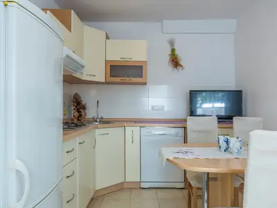 Ferienwohnung für 4 Personen (60 m²) in Vabriga 7/10