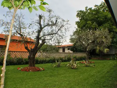 Ferienwohnung für 4 Personen (48 m²) in Vabriga 8/10