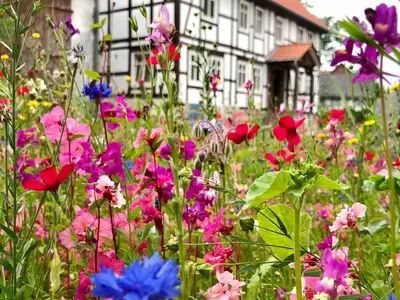 Ferienwohnung für 2 Personen (33 m²) in Vahlbruch 9/10