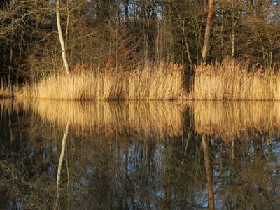 Hamberger See