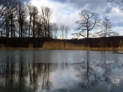 Hamberger See Eis