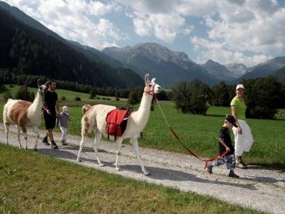 Mit den Lamas unterwegs, Schnuppertrekking Juli - Okt. für Familien Fr. 30.--