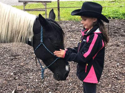 Unsere Pinto Pferde lieben Kinder