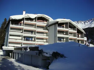 Schildknecht Winter