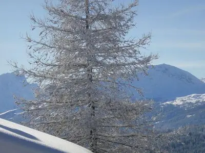Ferienwohnung für 7 Personen (145 m²) in Valbella 4/10