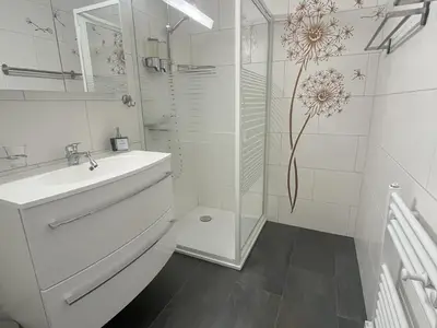 Neu renoviertes Badezimmer mit Dusche/WC