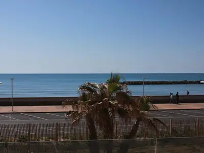 ViewSummer