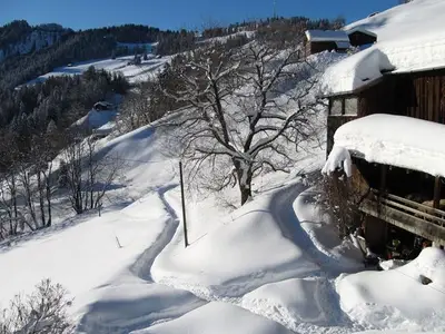 Ferienwohnung für 5 Personen in Valzeina 3/10