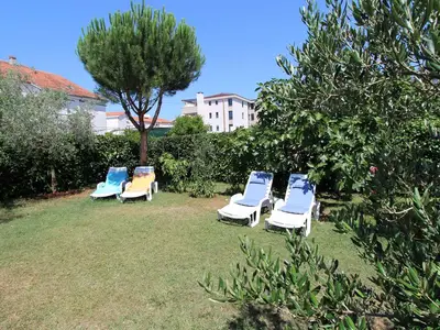 Ferienwohnung für 4 Personen (54 m²) in Vantacici 6/10
