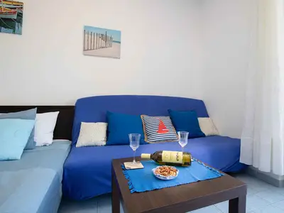 Ferienwohnung für 4 Personen (40 m²) in Vantacici 7/10