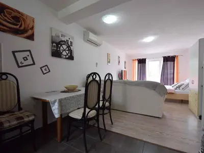 Ferienwohnung für 2 Personen (35 m²) in Rasopasno 10/10