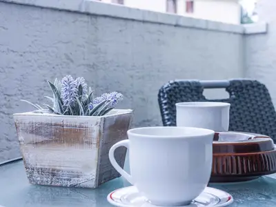 Ferienwohnung für 4 Personen (42 m²) in Vantacici 8/10