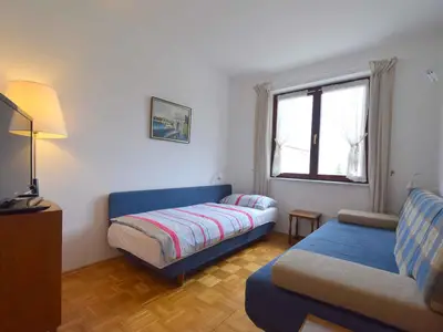Ferienwohnung für 4 Personen (40 m²) in Vantacici 8/10