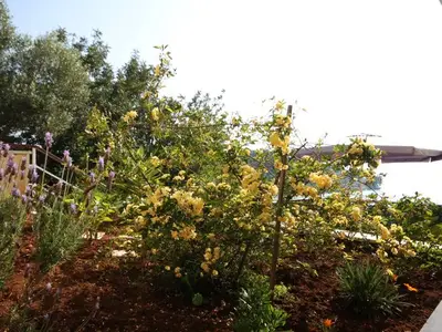 Ferienwohnung für 5 Personen in Vela Luka 6/10