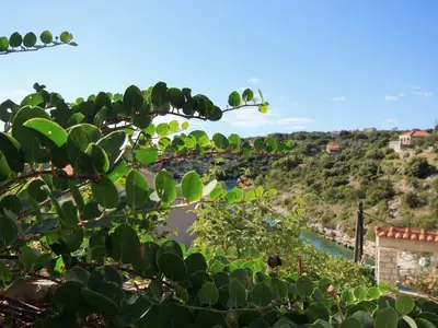 Ferienwohnung für 4 Personen in Vela Luka 10/10