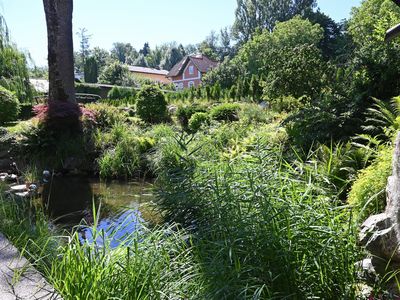 Garten mit wunderschönen Pflanzen