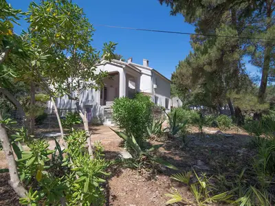 Ferienwohnung für 4 Personen (40 m²) in Veli Lošinj 9/10