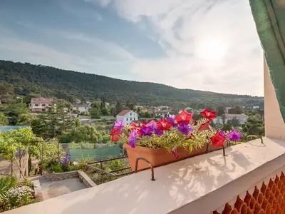 Ferienwohnung für 4 Personen (51 m²) in Veli Lošinj 6/10