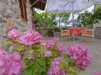 Ferienwohnung für 3 Personen in Veli Lošinj 6/10