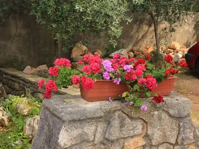Ferienwohnung für 6 Personen in Veli Lošinj 5/10