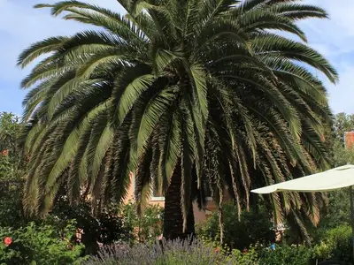 Ferienwohnung für 6 Personen in Veli Lošinj 9/10