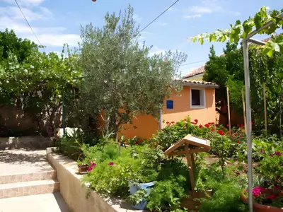 Ferienwohnung für 2 Personen (28 m²) in Veli Lošinj 1/10