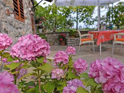 Ferienwohnung für 2 Personen (25 m²) in Veli Lošinj 5/10