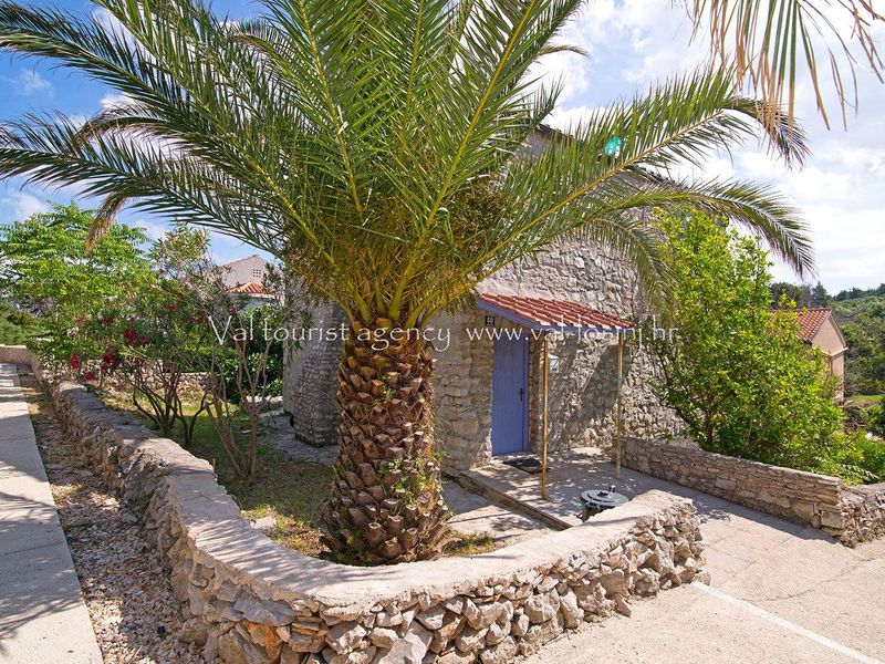 23297362-Ferienwohnung-4-Veli Lošinj-800x600-0