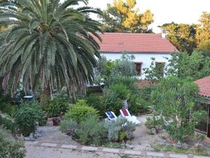 19284623-Ferienwohnung-0-Veli Lošinj-300x225-4