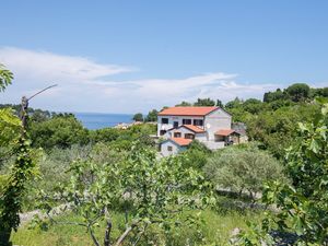 Ferienwohnung für 4 Personen (43 m²) in Veli Lošinj