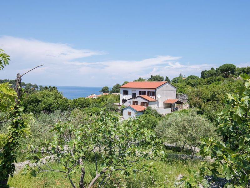 23462779-Ferienwohnung-4-Veli Lošinj-800x600-0