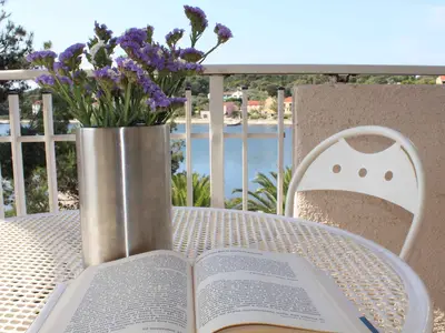 Ferienwohnung für 3 Personen (40 m²) in Veli Rat 1/10