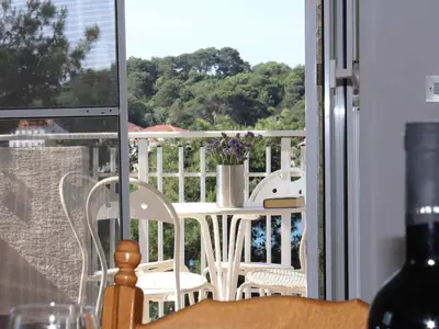 Ferienwohnung für 3 Personen (40 m²) in Veli Rat 7/10