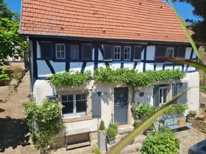 Ferienwohnung für 5 Personen (80 m²) in Vendersheim