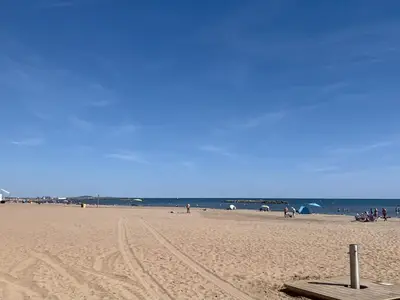 ViewSummer