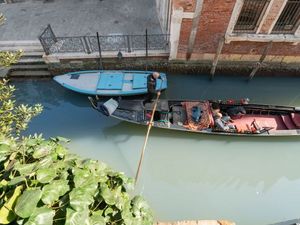 23878147-Ferienwohnung-5-Venedig-300x225-4