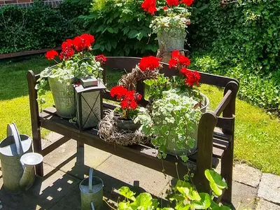 Ferienwohnung für 3 Personen (55 m²) in Ventschow 8/10