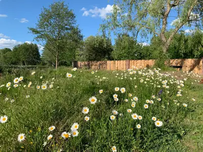 Ferienwohnung für 5 Personen (89 m²) in Vetschau 2/10