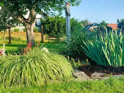 Ferienwohnung für 2 Personen (60 m²) in Vetschau 10/10