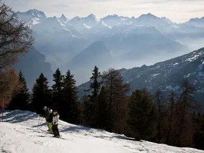 ViewWinter