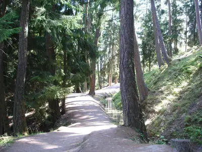 AreaSummer1KM