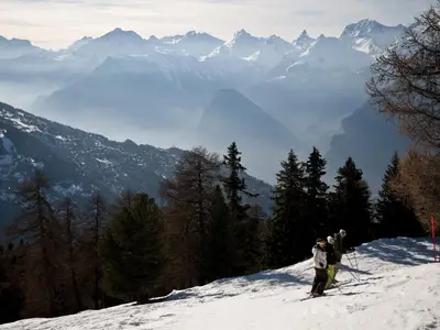 ViewWinter